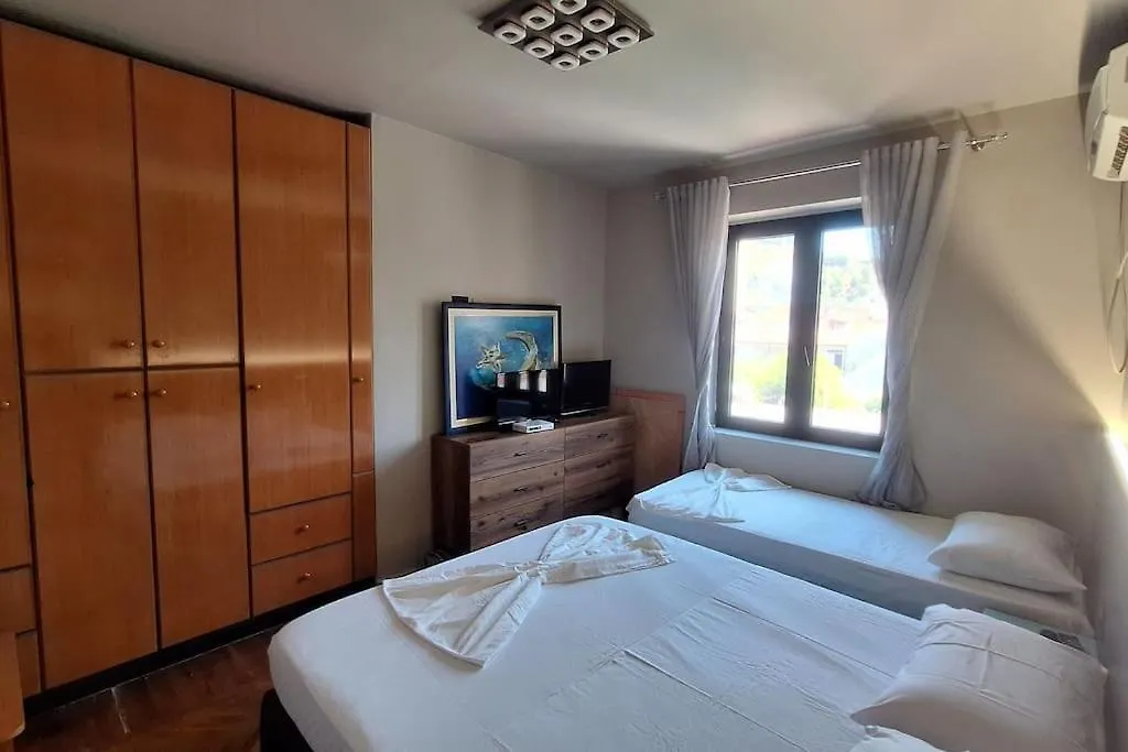 Sunflower Vlore